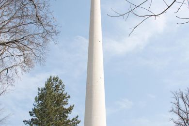 Viele Spitzen
